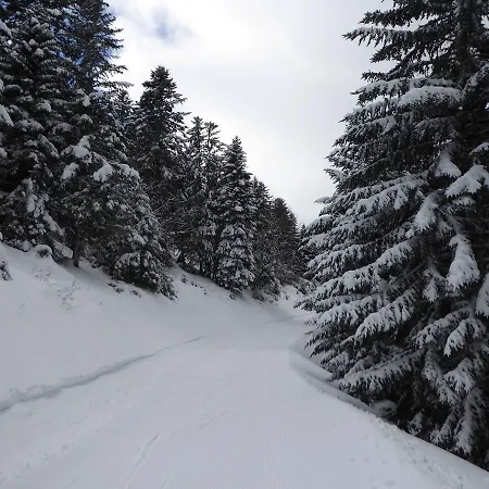 Les Berges Du Gave D'azun Apartamento *