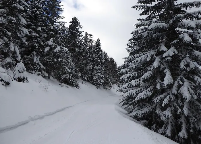 Les Berges Du Gave D'azun Apartamento *